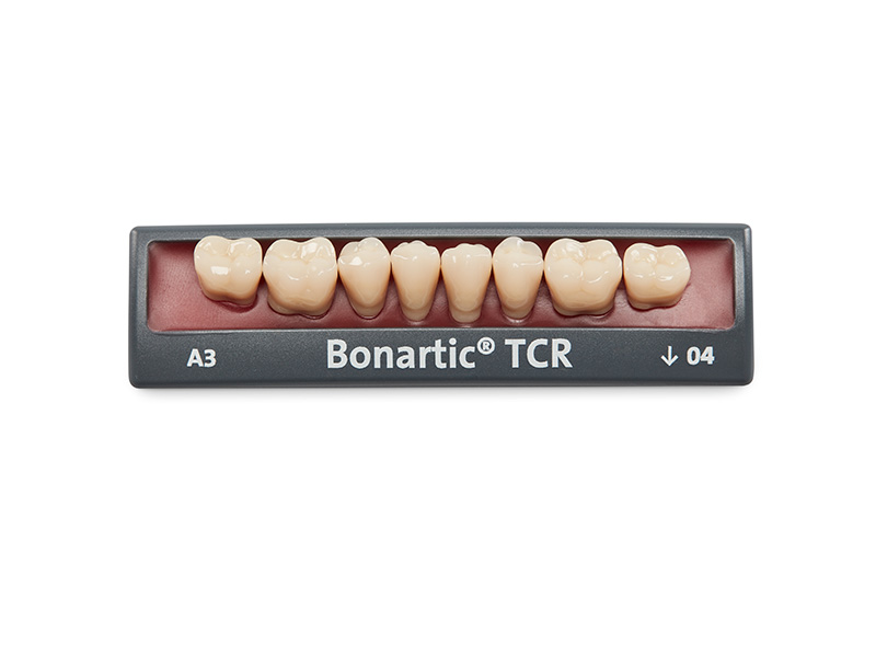 Dents postérieures Bonartic TCR - Rotec
