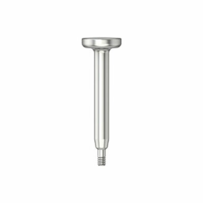 IPS - Instrument d'insertion pour analogue d'implant CFAO - RI