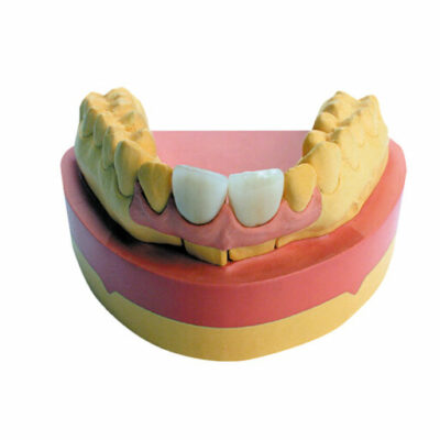 Majesthetik-Gingiva silicone - 8 cartouches de 50 ml