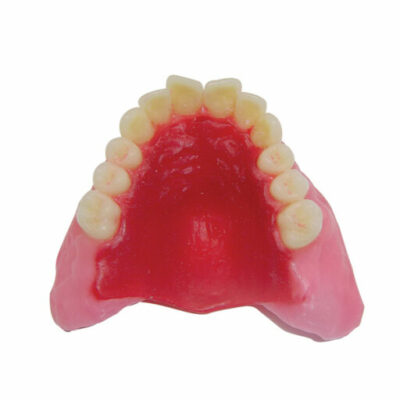 Préformes palatines en cire 1,5 mm - 12 pièces
