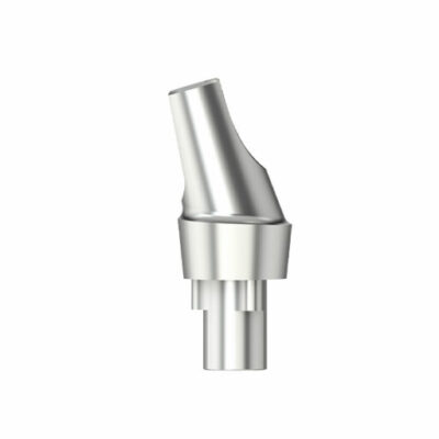 E Série - Pilier standard angulé 16° - RP 4.3 - HG 2.5 - type 2