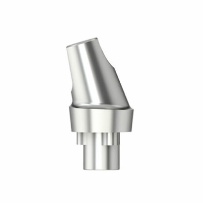 E Série - Pilier standard angulé 16° - D 6.0 - HG 2.5 - type 2