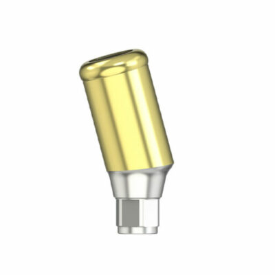 F Série - Pilier MedentiLOC angulé 15° - NP - HG 5.0/6.0 - type 1