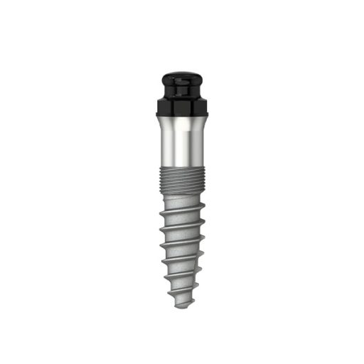 Minicone - Implant - D 2.6 - L 8